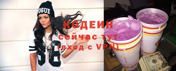 apvp Богородицк