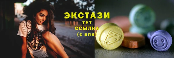 apvp Богородицк