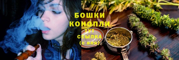 apvp Богородицк