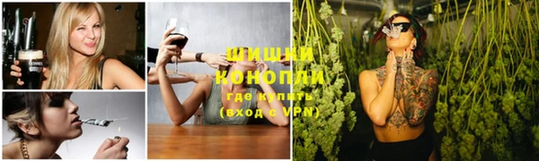 apvp Богородицк